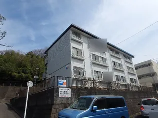 チェリーハイツ諏訪B【3階】の外観