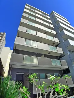 新鎌スカイタワー【3階】の外観