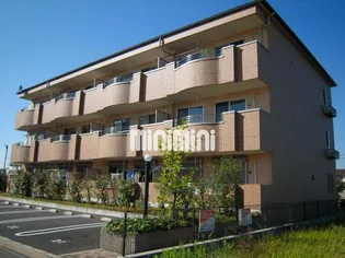 STELLA POLAREの画像