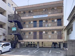 バレーベア若草の画像