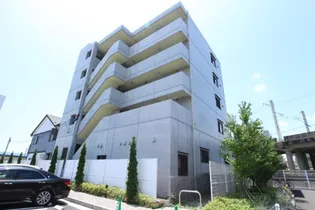 ソラリオン根本の画像