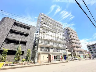 デイム橋本の画像