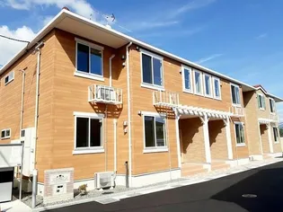 フィオーレ コニファーの画像