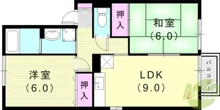 ヒルズ大谷II【2階】の間取り