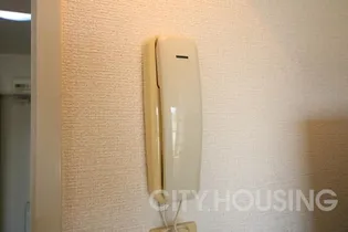 ロフトハウス城南【2階】の内装