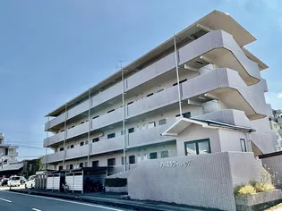 アドミラブールAの画像