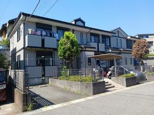 アビターレ コモドBの画像