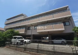 ソレイユ アリセの画像