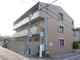 シャルマンの画像