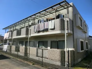 フィオーレ栗の葉の画像