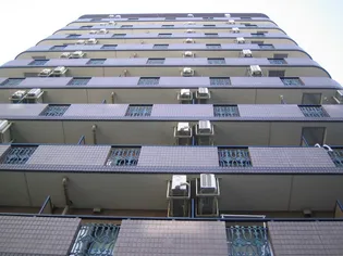 グリフィン横浜・反町公園弐番館【10階】の外観