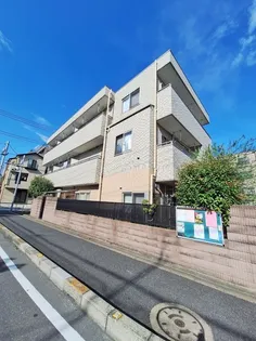 C コンフォールの画像