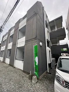 サングラッド黒髪の画像