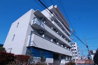 YSコートの画像