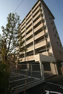 STAR VINTAGEの画像