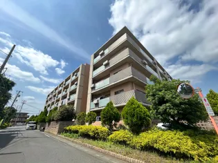 GRAND ALPINEの画像