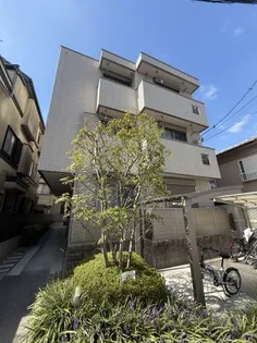 ヘーベルブランシュの画像