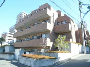 THE KASUGAYAMAの画像
