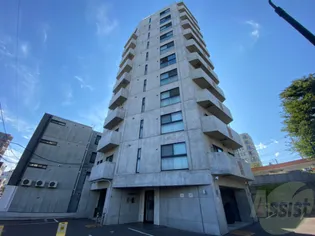 円山シャトー桂和坂下の画像