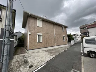 パーシモンの画像