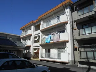 五月ハイツ【3階】の外観