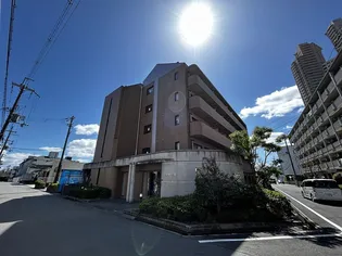 アペックス パラツィーナくずはの画像