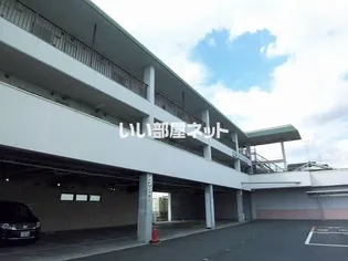 シャトレーの画像