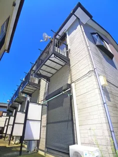 リブリ ラシーナの画像