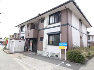 ハイカムールミナトの画像