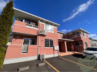 サニーブライト Y Sの画像