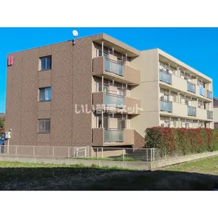 ハートフル ラシーヌの画像