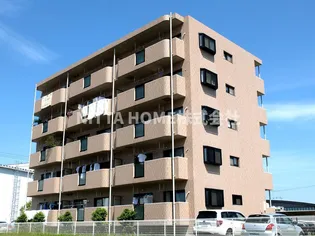 アイディアルノーブルの画像