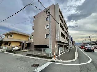 あした葉の画像