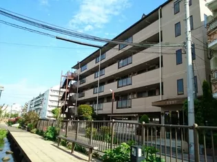 せせらぎの画像