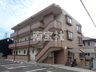 ライラックMの画像