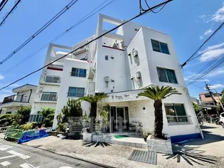 ラビアンヌレポーの画像