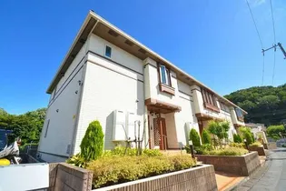 SCHON BLUMEの画像