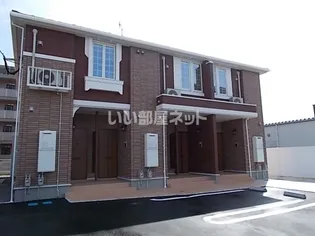 アモーレの画像