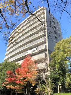 ザ シーン城北アストロタワーの画像