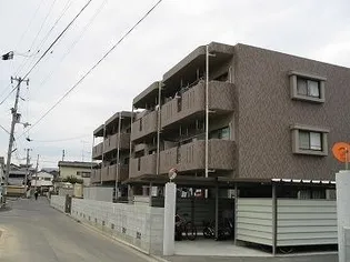 ベイリーフAの画像