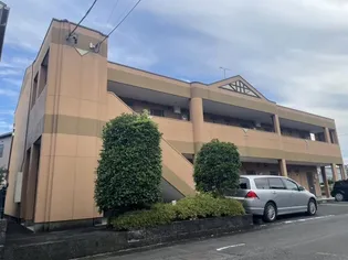 プロニティ Mの画像