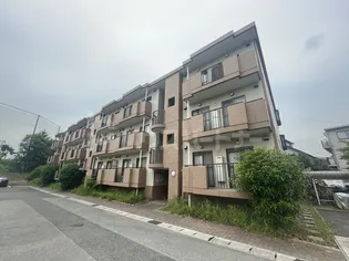 キャロットミノルの画像