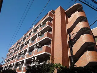 アミーゴ仲六郷の画像