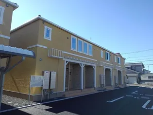 ステラ Ⅱの画像