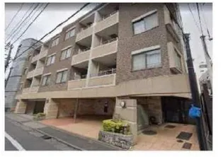 セーナ中野の画像