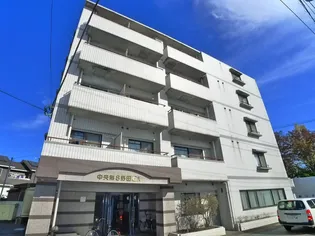 中央第8野田ビルの画像