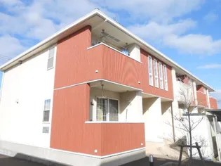 メープルツリーの画像