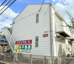 ソフィアK Yの画像