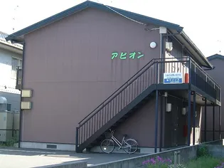 アピオンの画像
