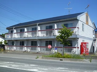 サンバードの画像